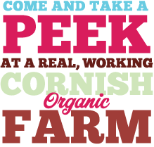 Come and take a peek at a real, working Cornish organic farm