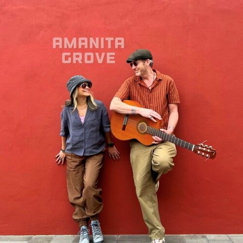 Amanita Groove (duo)
