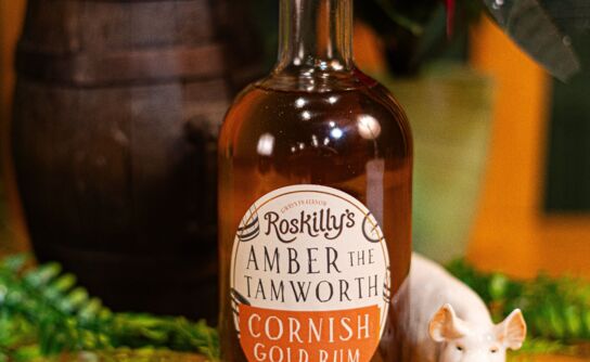 Amber the Tamworth” Cornish Gold Rum