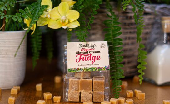 Organic Clotted Cream Fudge 100g