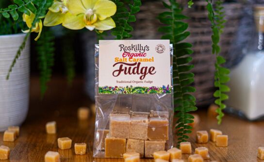 Organic Salt Caramel Fudge 100g