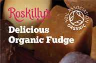 Delicious Organic Fudge