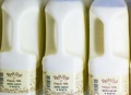 Our organic milk for sale in the shop